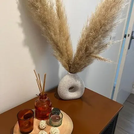 La Venise Provencale